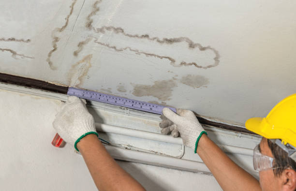 Reliable Water Damage Repair contractor in Palmer, TX by Aqua Guard Water Damage
